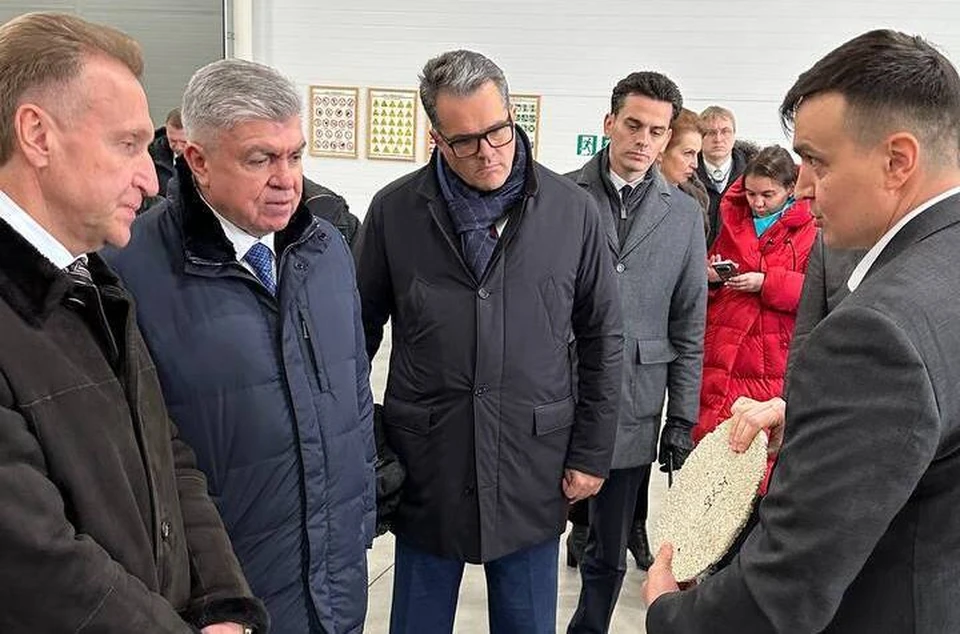 Акция добрые руки. Приют муркоша котята. Добрые руки челны. Добрые руки челны. Картинка добрые руки.