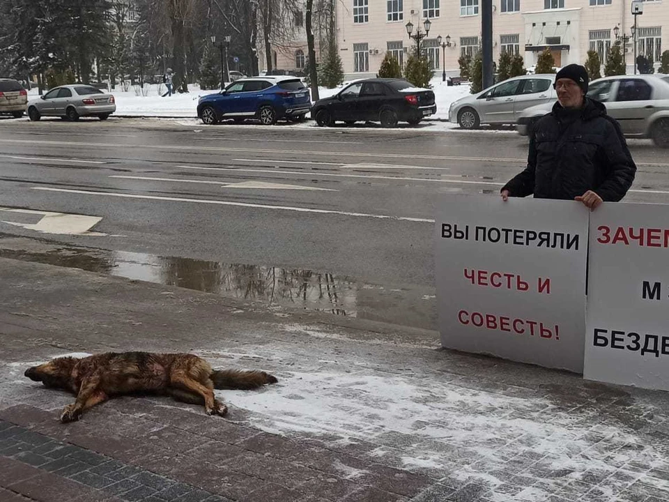 Одиночный пикет с трупом собаки