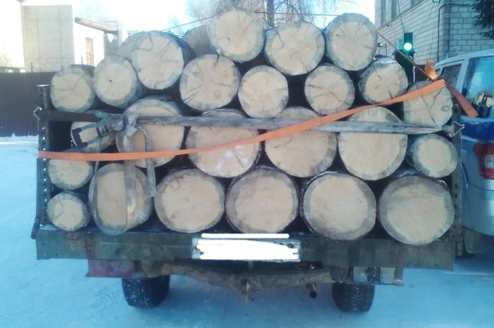 Черные лесорубы