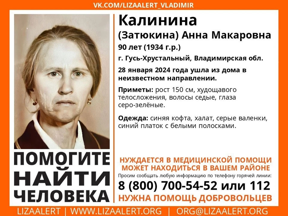 Ориентировка ПСО "Лиза Алерт" Владимирской области