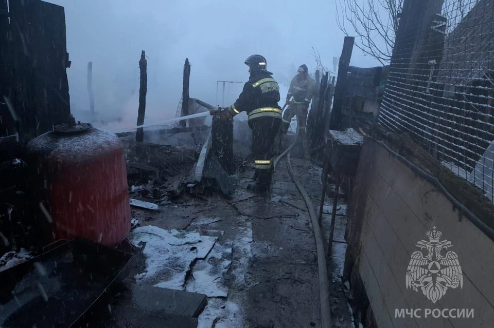 Семь поросят сгорели во время пожара в сарае под Липецком