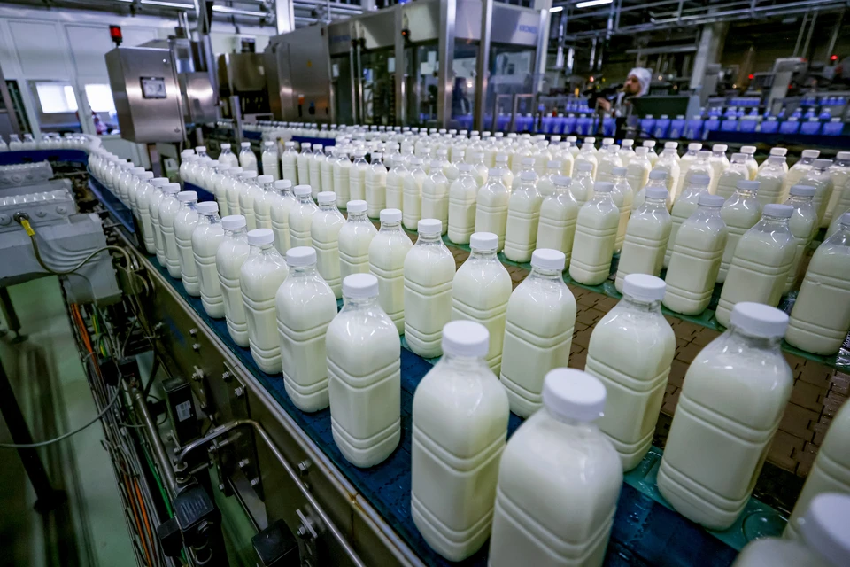 В 2023 году в Удмуртии произвели на 70 тысяч тонн молока больше, чем в 2022 году