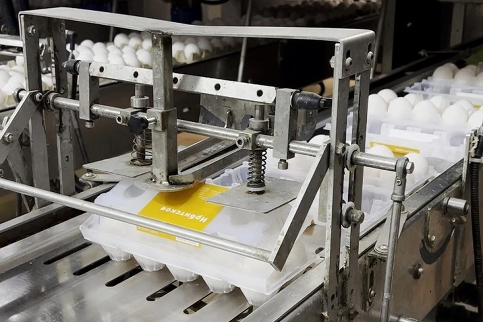 Производство яйца полностью автоматизировано. Фото: пресс-служба Ирбитской птицефабрики