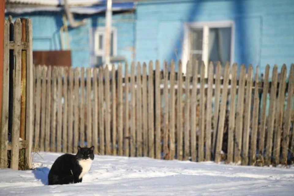 В феврале сильных морозов не ожидается на территории Иркутской области