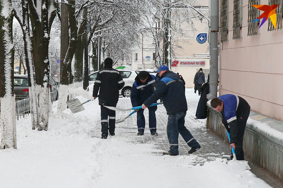 ФСЗН будет предупреждать о том, что работнику в Беларуси не хватает страхового стажа.