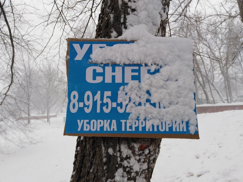 Белгородцев предупреждают о сильном ветре и мокром снеге 7 февраля.