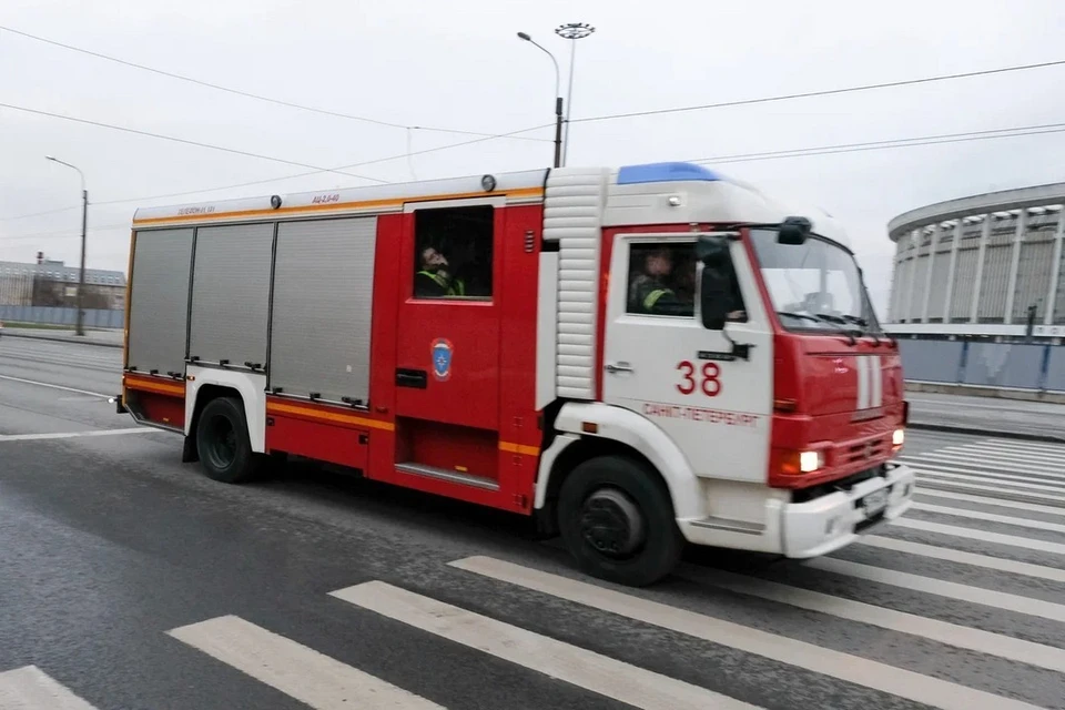 Два человека попали в больницу из-за ночного пожара в Пушком районе Петербурга.