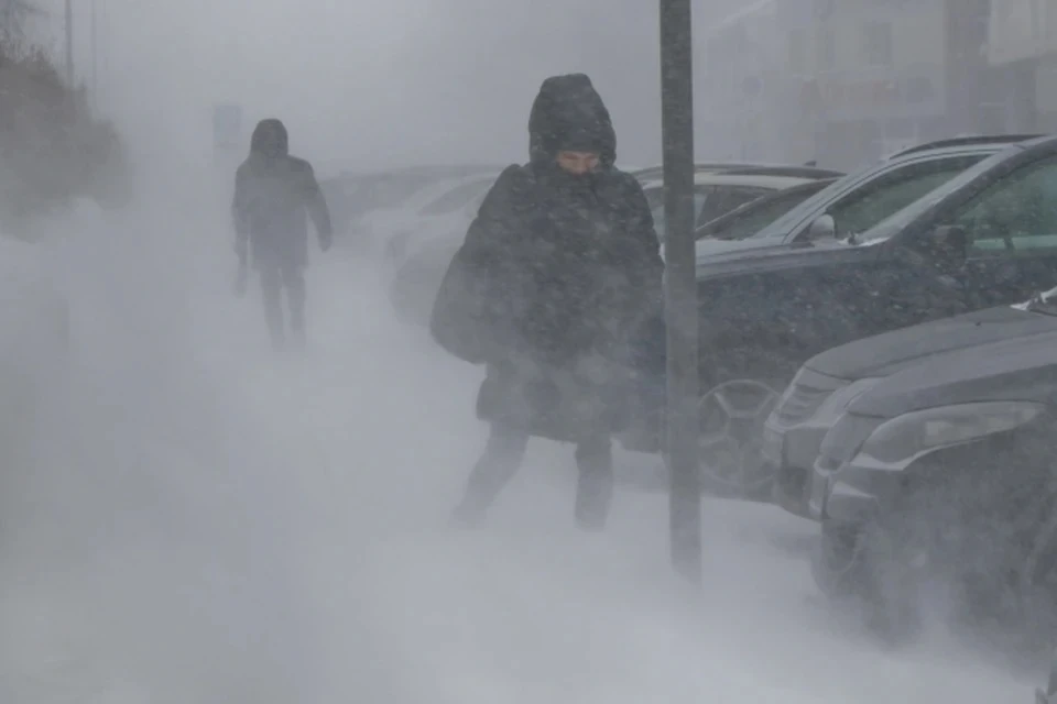 Синоптик Леус: снегопад в Москве начнет ослабевать в ближайшие два часа