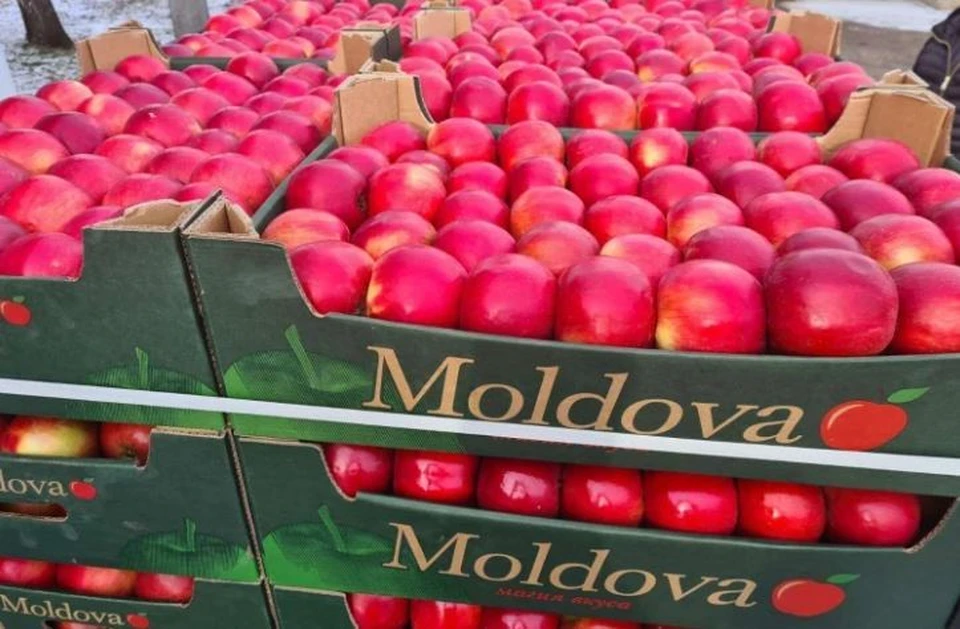 В январе нынешнего года Молдова экспортировала чуть более 14 тыс. тонн яблока. Фото: социальные сети.