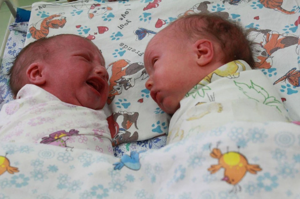 Две двойни родились за сутки на Кубани Фото: t.me/evgeniiFilippov23