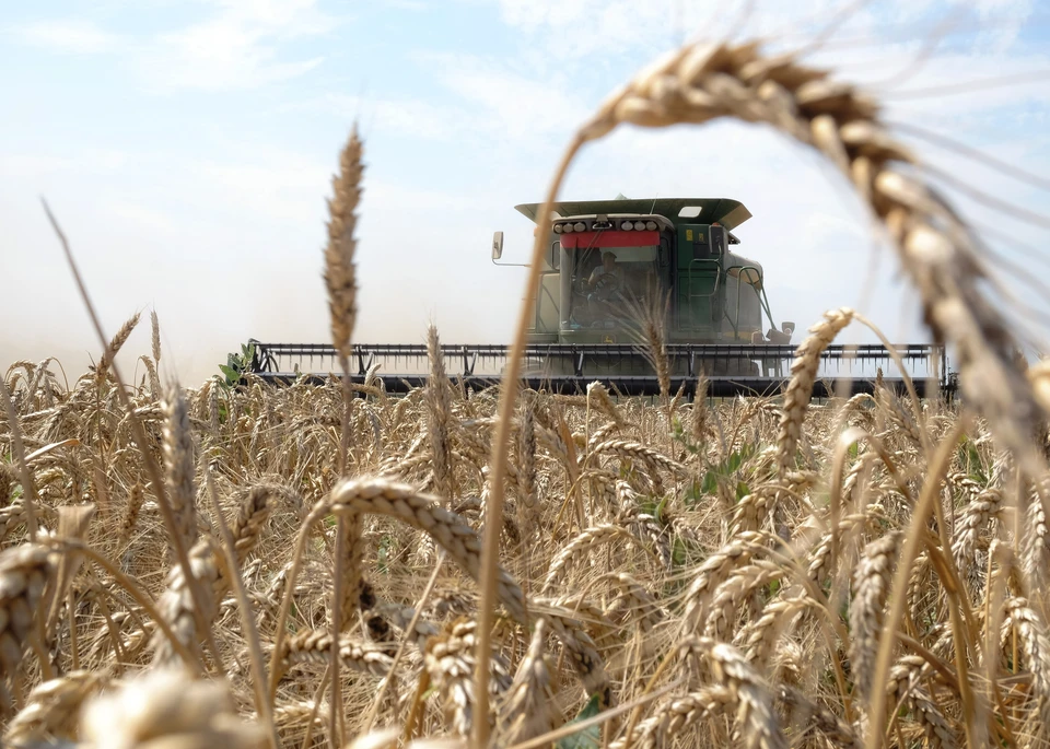 Из Ульяновской области в Киргизию отправлено 350 тонн пшеницы на экспорт