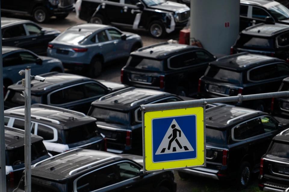 Более полумиллиона петербуржцев оштрафовали за нарушение правил платной парковки за год.