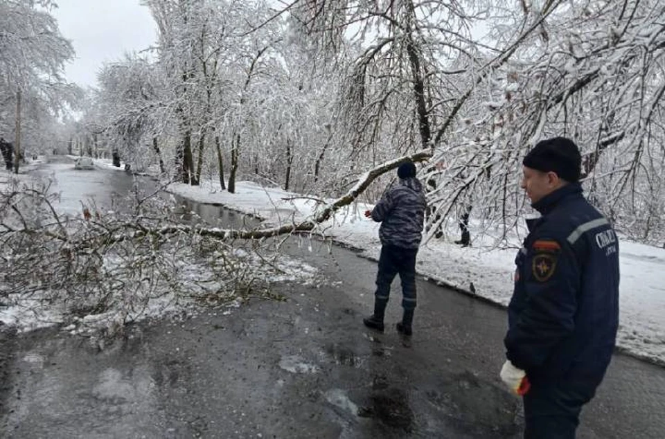 В Шахтах с улиц убирают поваленные ветром деревья. Фото: официальный телеграм-канал главы города Андрея Горцевского.