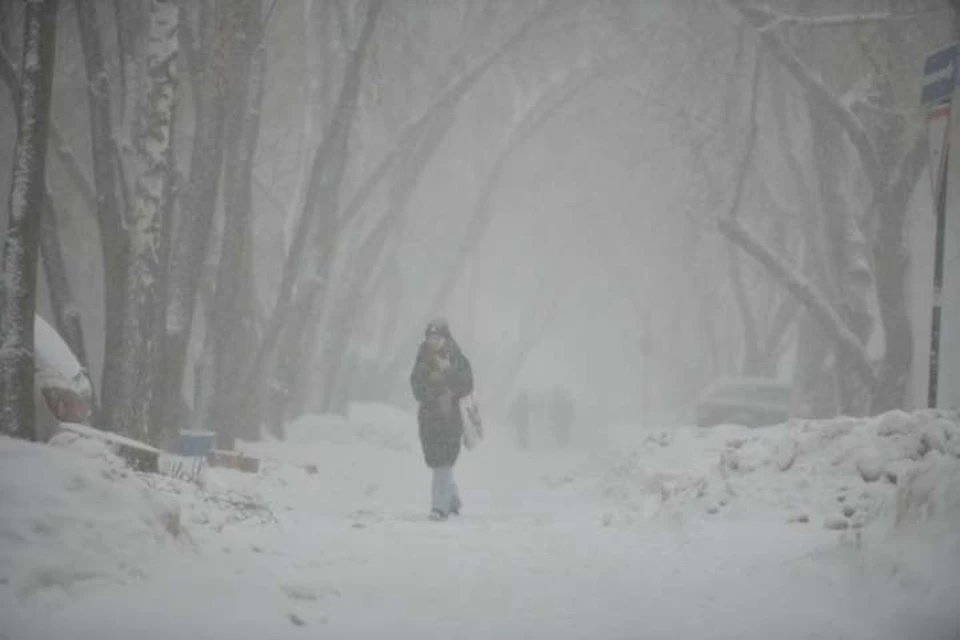 Сильный ветер со снегом ожидается в Иркутской области 12 февраля