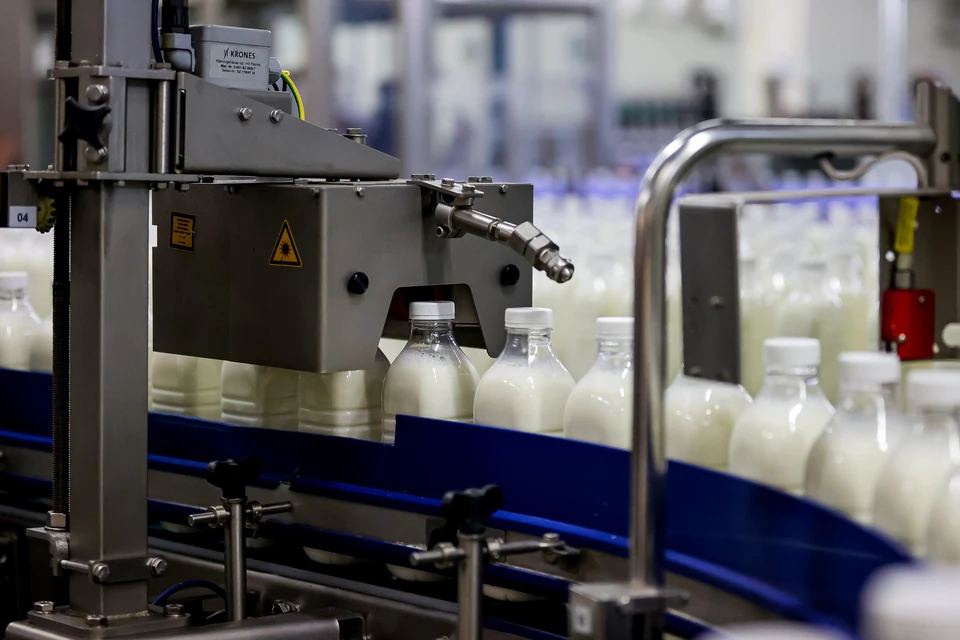 На Кубани почти на 12% выросло производство молочной продукции Фото: Денис КОРАБЛЕВ