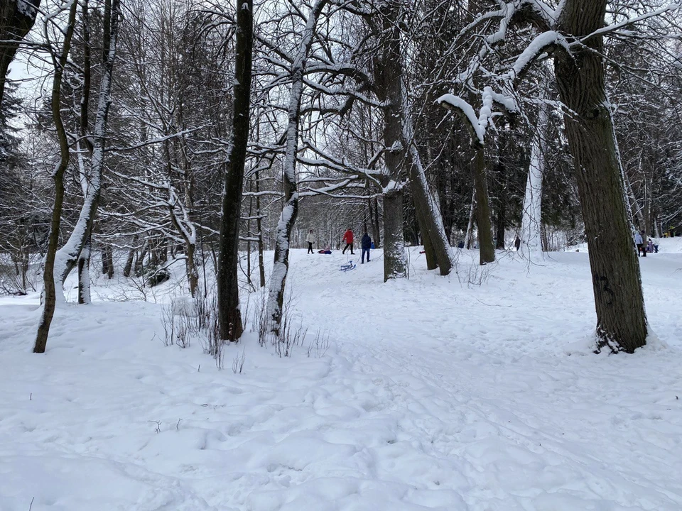 В Тюменской области похолодает до минус 35 градусов.