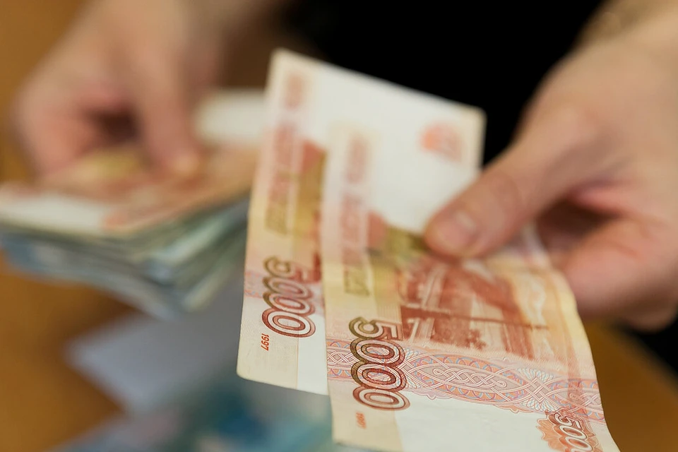 Всего на 2024 год из бюджета выделили 17 миллиардов рублей.