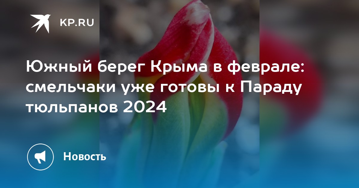 Крым тюльпаны 2024