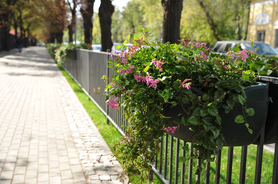 Уровень благоустройства в Ростове-на-Дону оказался выше, чем в среднем по стране