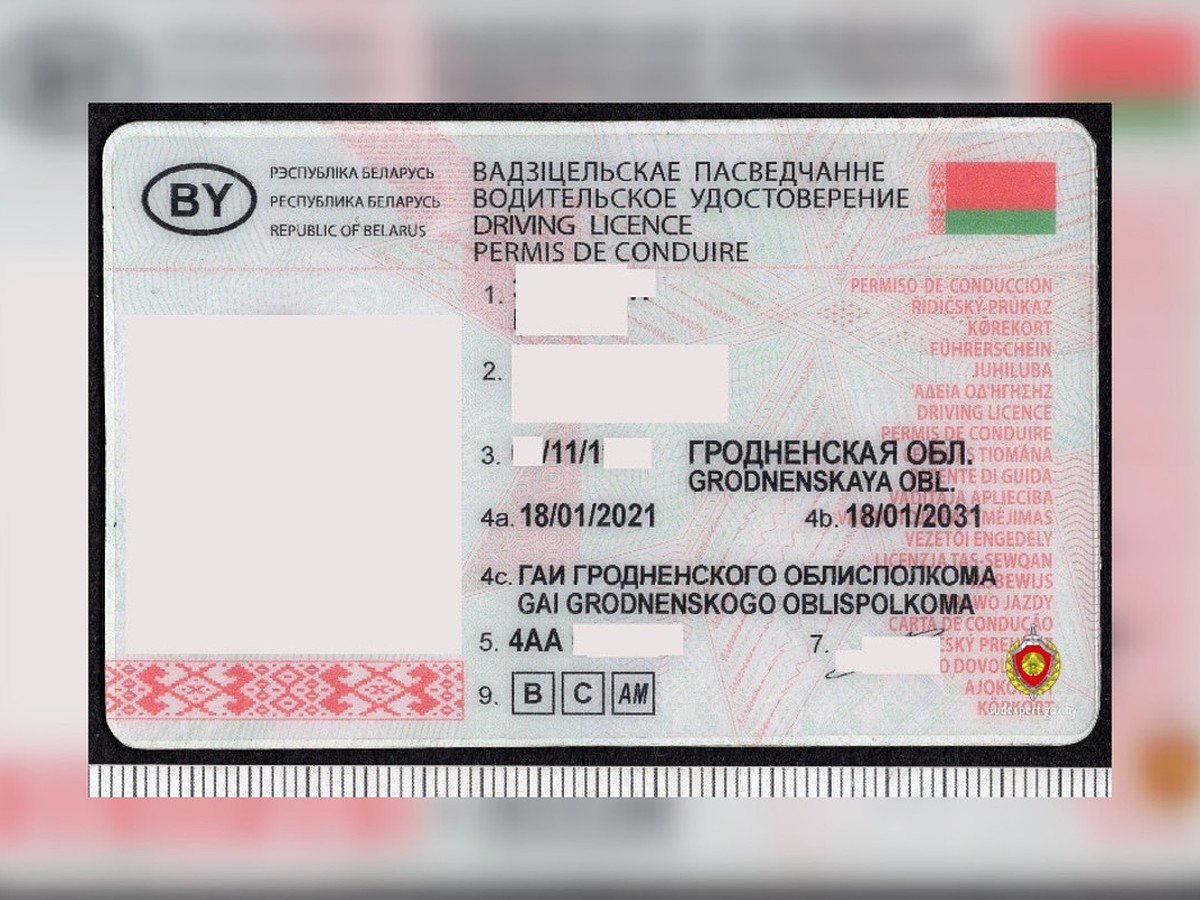 Житель Гродно купил за 650 рублей поддельные права в России и попался с  ними - KP.RU