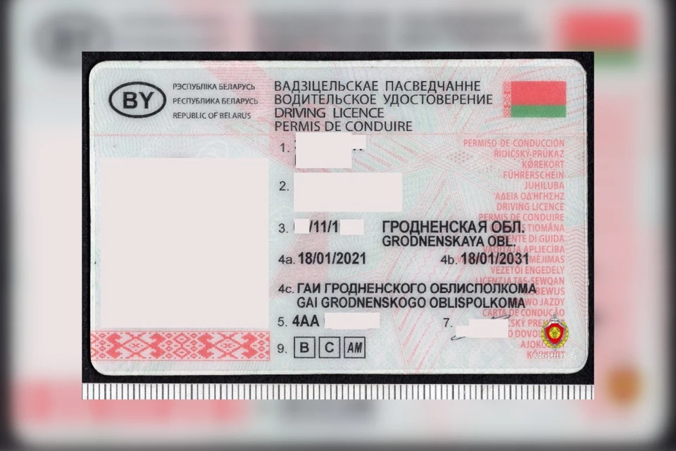 Житель Гродно купил поддельные водительские права в России. Фото: sudexpert.gov.by