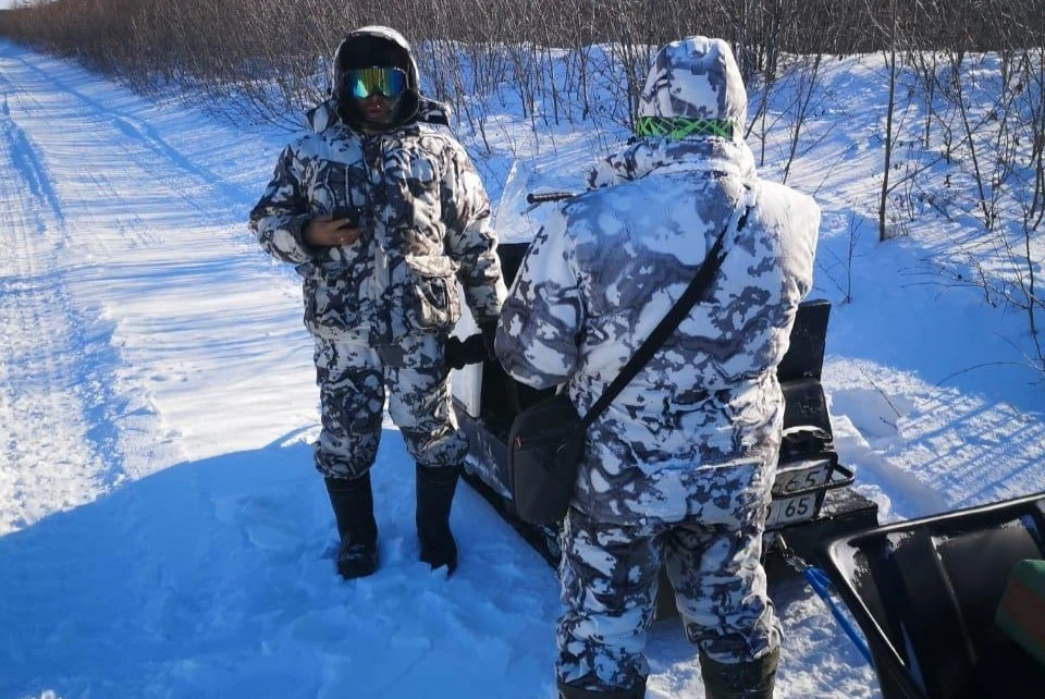 На юге Сахалина выясняют причину странной смерти благородных оленей. Фото: Агентство лесного и охотничьего хозяйства Сахалинской области