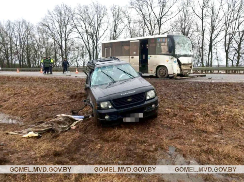 СК озвучил подробности ДТП легковушки и автобуса с пассажирами в Рогачеве. Фото: телеграм-канал УВД Гомельского облисполкома