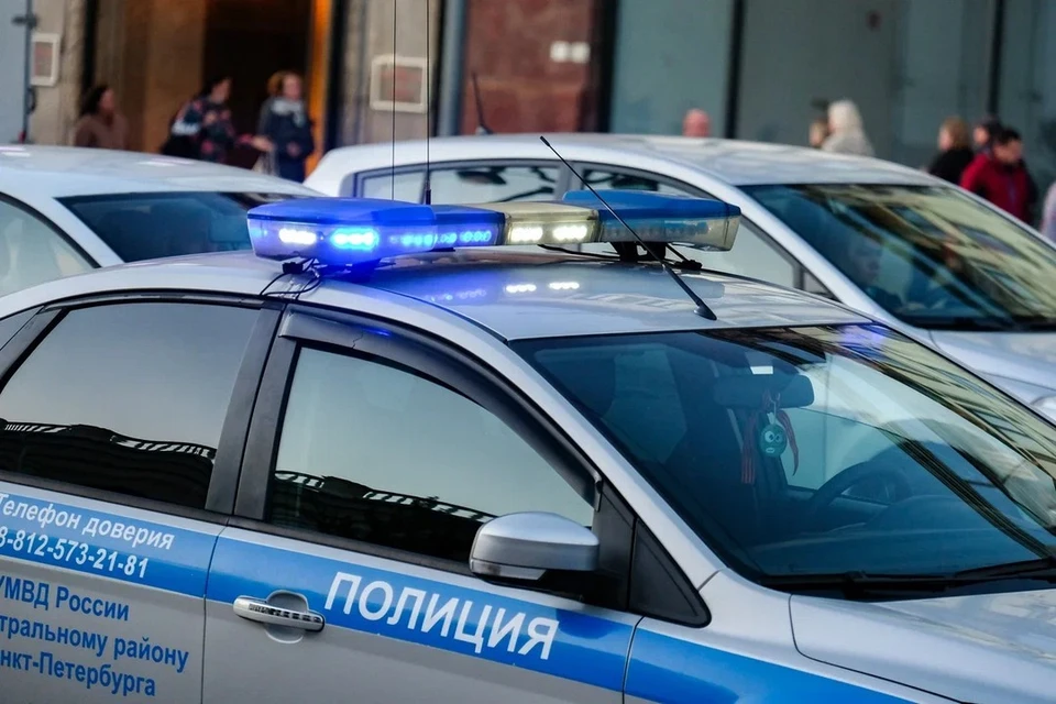Полицейские задержали мужчину, избившего петербурженку ради телефона.