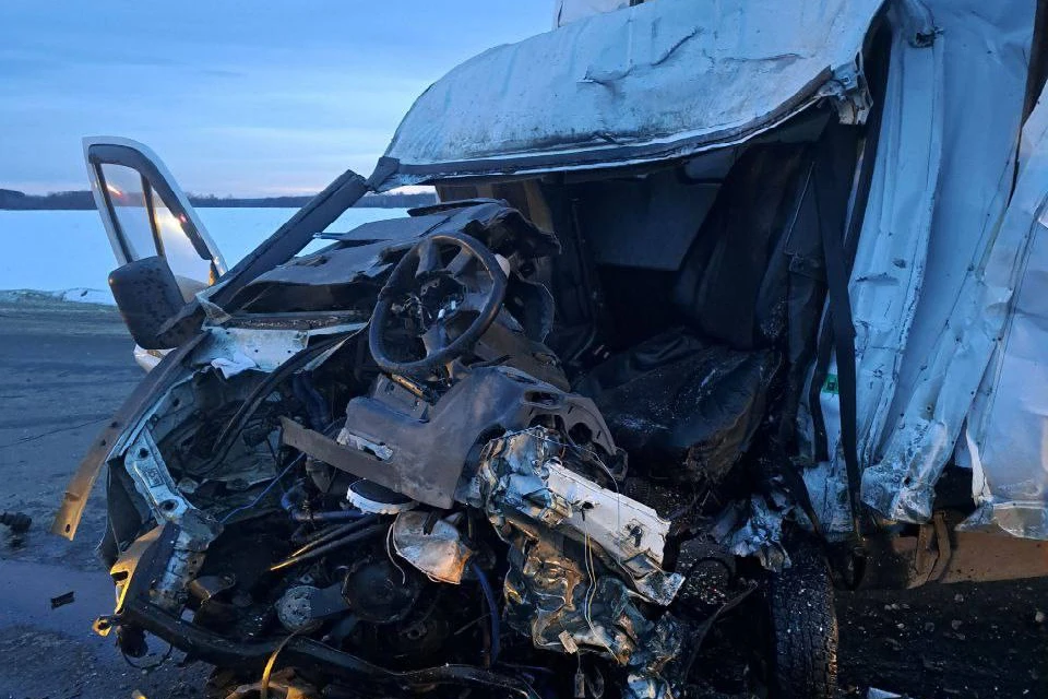 Водитель отечественного авто от полученных травм скончался на месте происшествия. Фото: t.me/gibdd121