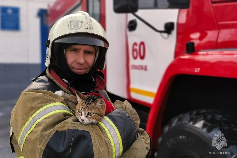 Кошка Маша поселилась в пожарной части в 2019 году.