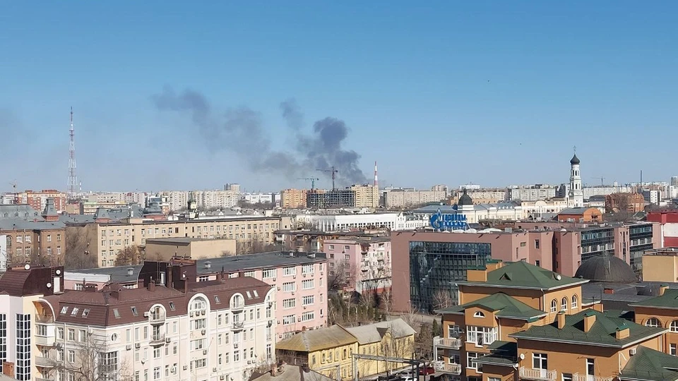 Напомним, что региональная служба природопользования сообщила о том, что 1 марта в регионе начался пожароопасный сезон