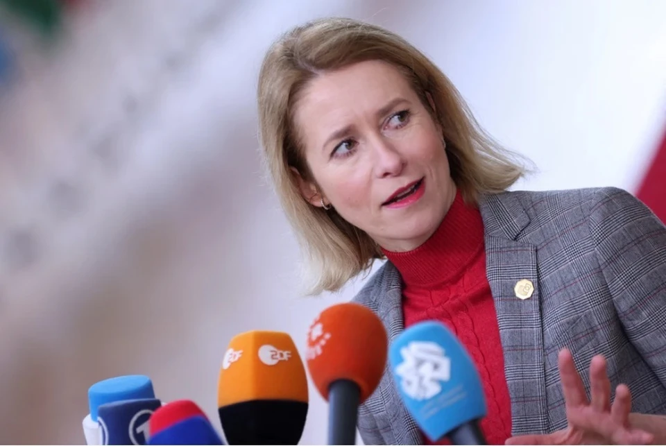 Премьер Эстонии Каллас заявил, что не считает Владимира Путина президентом России