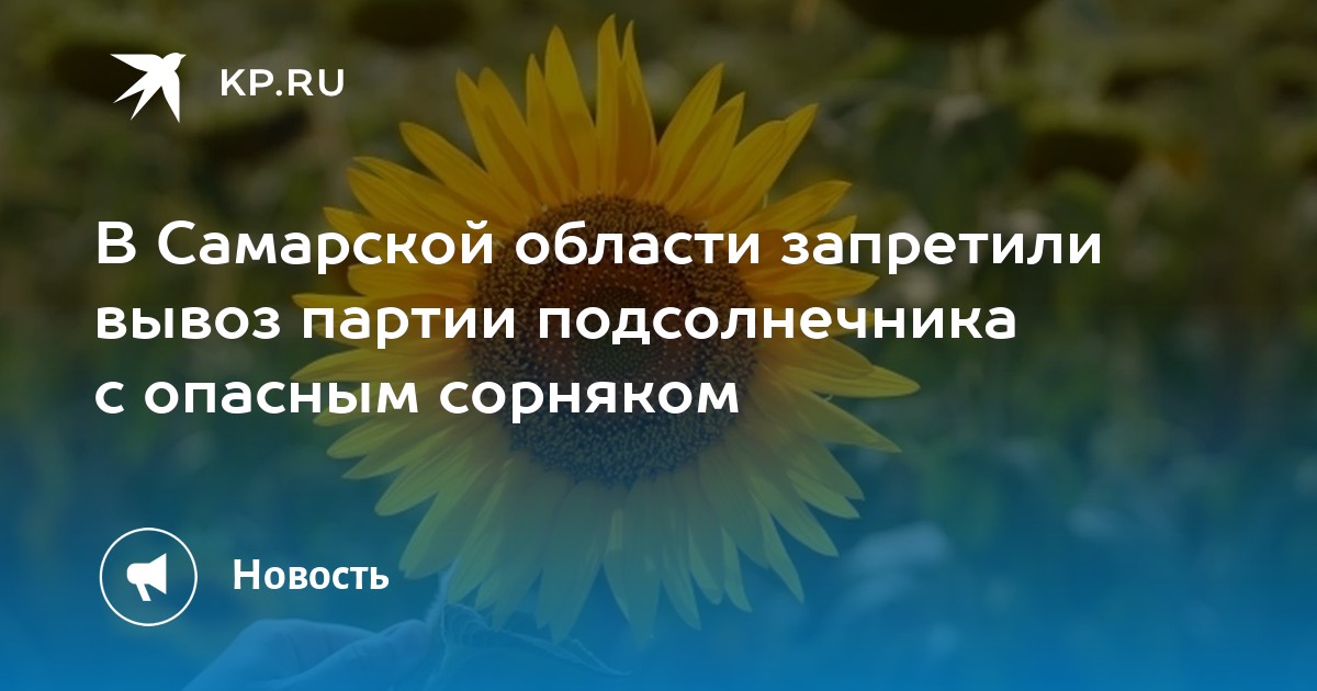 Погода комсомольский самарская область кинельский