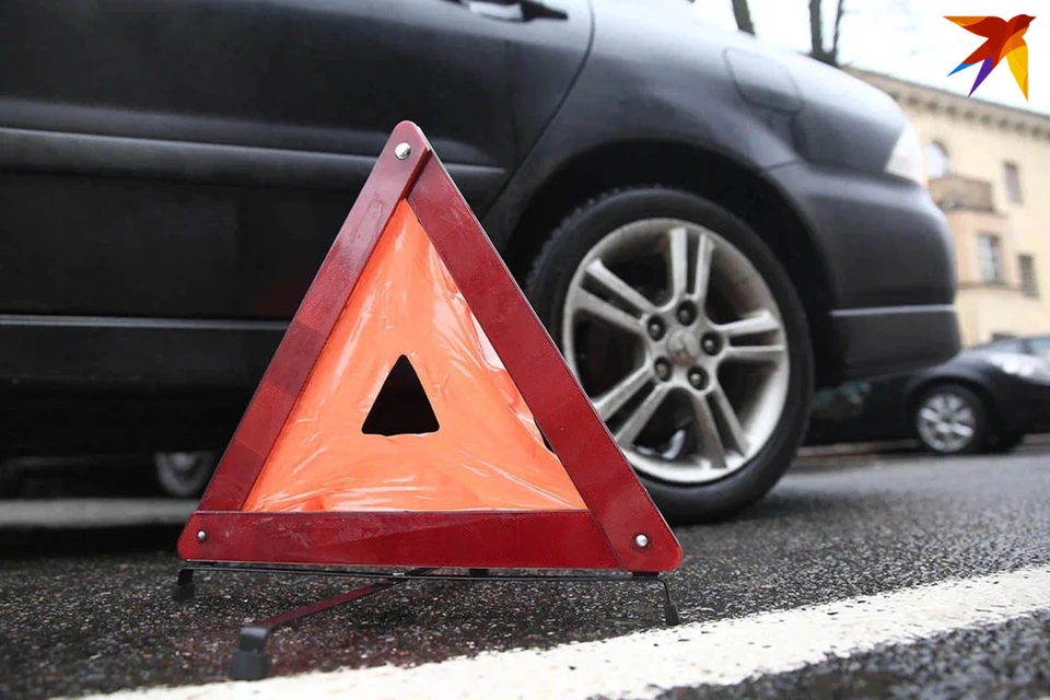 В Толочинском районе легковое авто врезалось в лося, два человека в больнице. Снимок носит иллюстративный характер.
