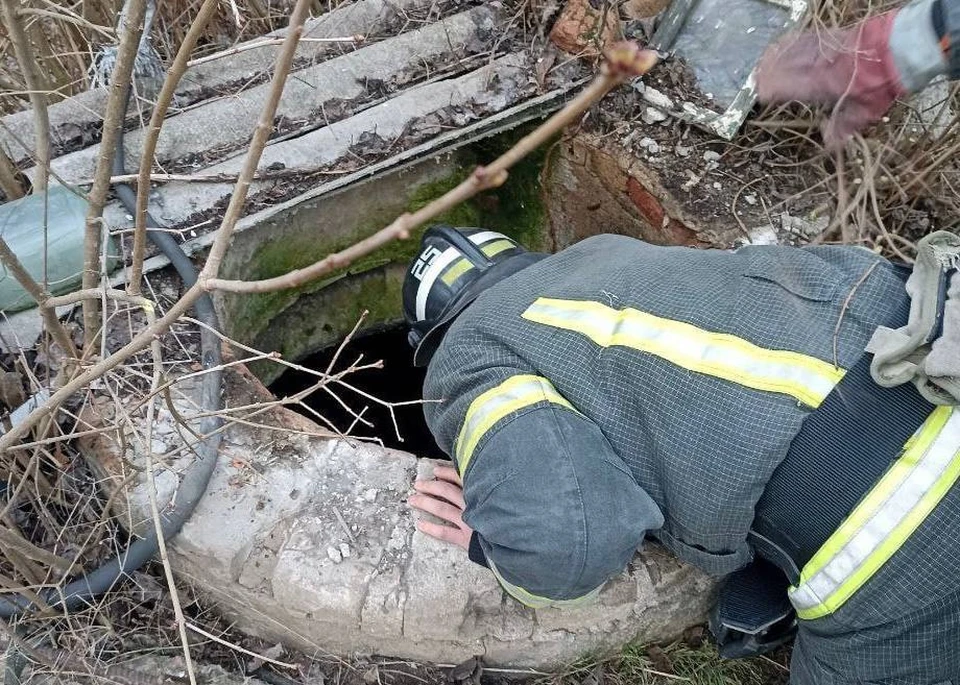 В Бердянске спасатели достали собаку, провалившуюся в глубокий колодец с водой. ФОТО: ГУ МЧС России по Запорожской области