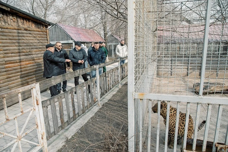 Санкт-Петербург продолжают восстанавливать и строить новые вольеры в мариупольском зоопарке. Фото: ТГ/Моргун