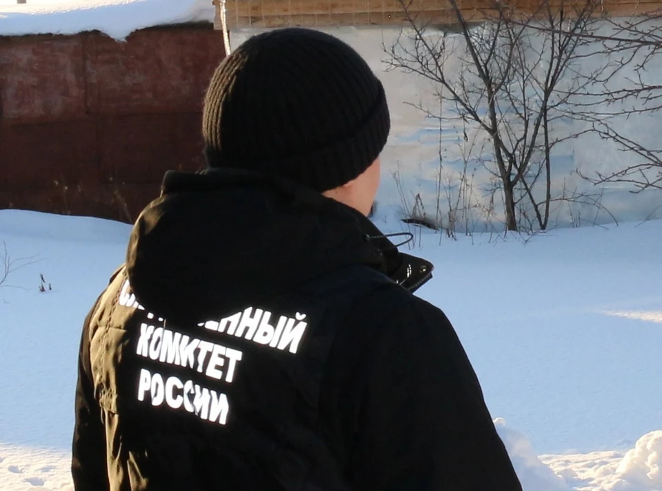 Возбуждено уголовное дело.