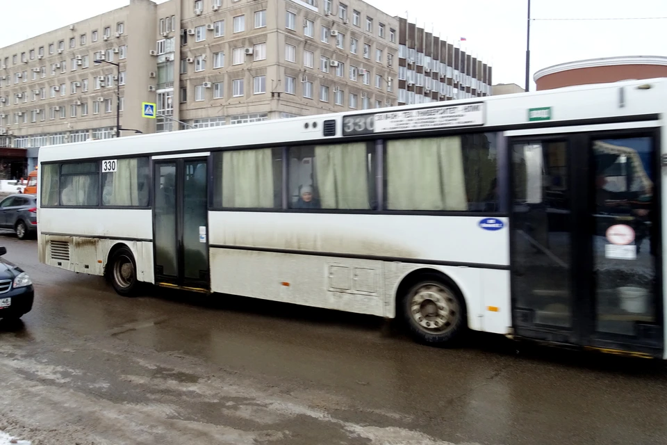 Как бесплатно доехать до избирательных участков во время выборов в Липецке