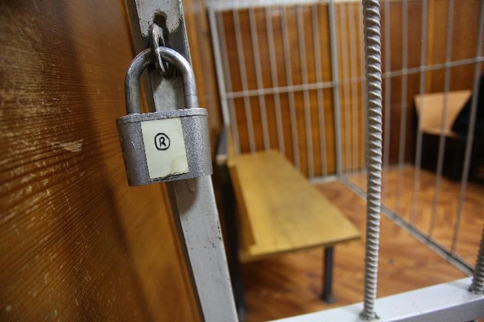 Избивший сожителя матери рыбинец арестован на два месяца.