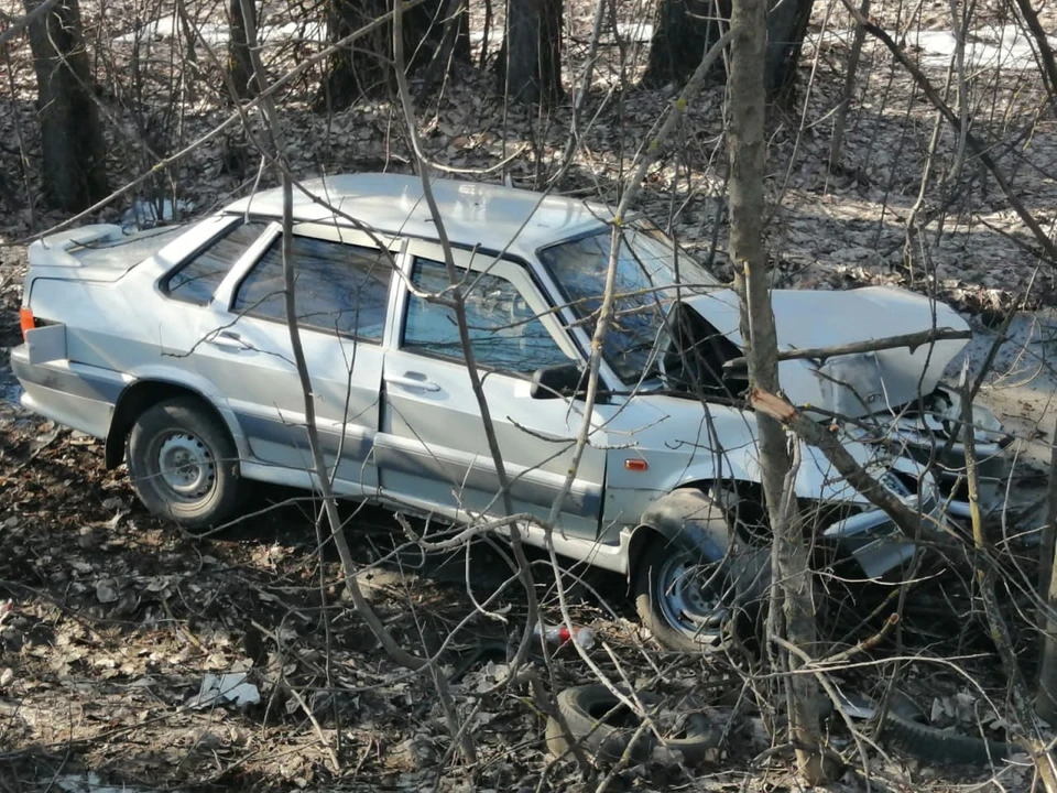 фото Госавтоинспекции Воронежской области