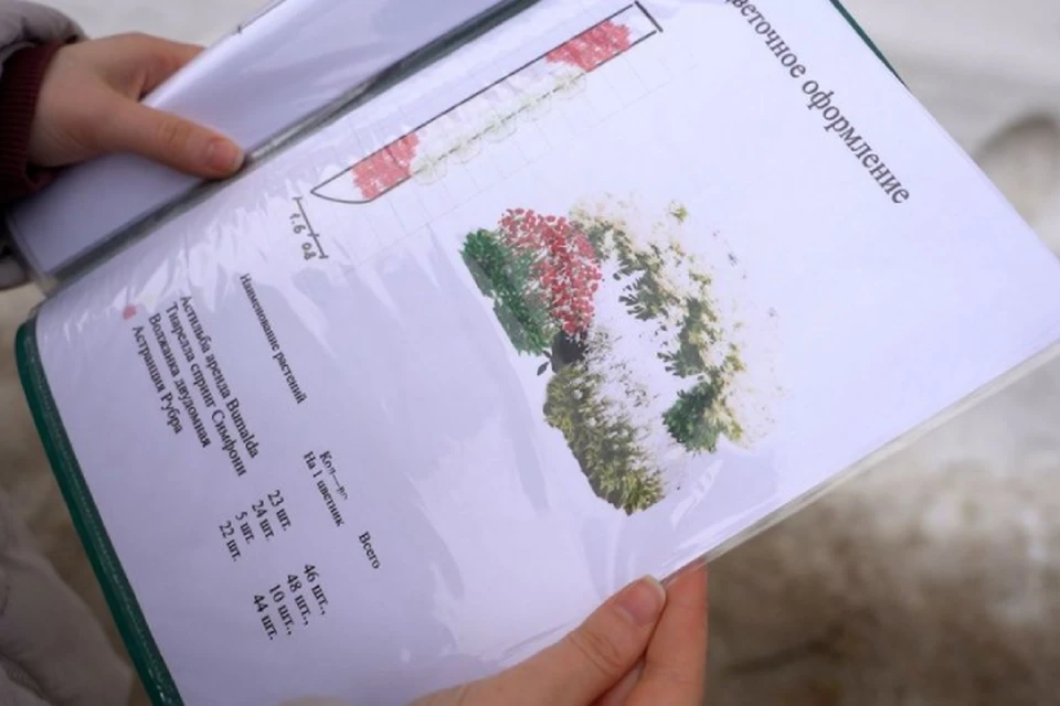 Концепция озеленения есть практически у каждой улицы. Фото: киров.рф