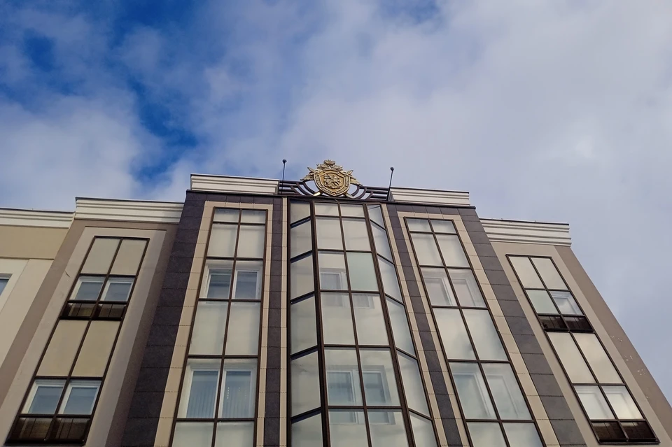 Девять лет колонии получил житель Липецкой области за убийство соседа