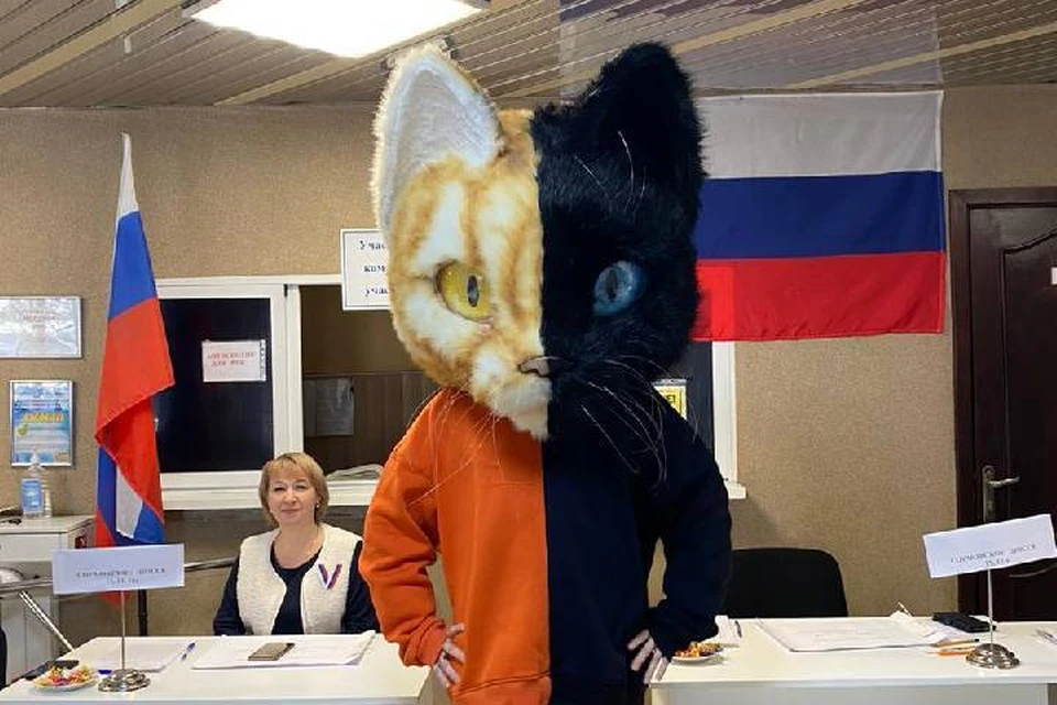 Нижегородка в костюме кота покорила сотрудников и посетителей избирательного участка. Фото предоставлено героем публикации