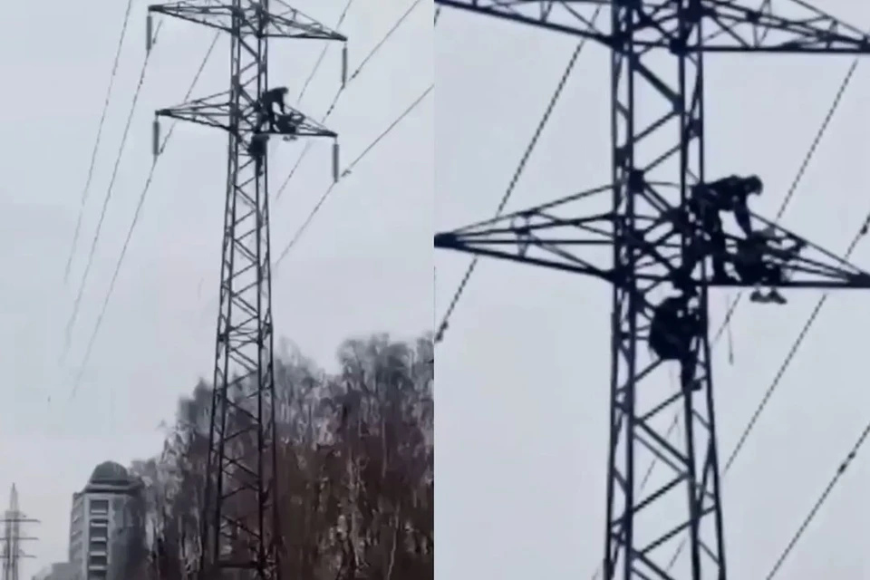 В Новосибирске мужчина застрял на верху опоры ЛЭП. Фото: ГУ МЧС по НСО