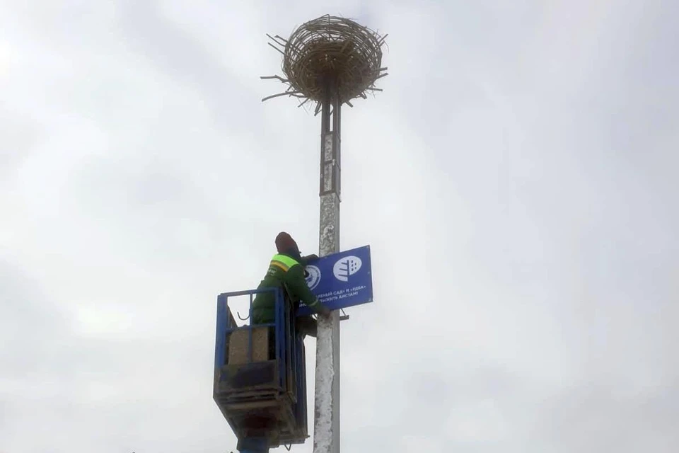 В феврале 2024 года были установлены еще три гнездовые опоры в пойме Оки, у села Кораблино Рязанского района. Фото: РДБА.