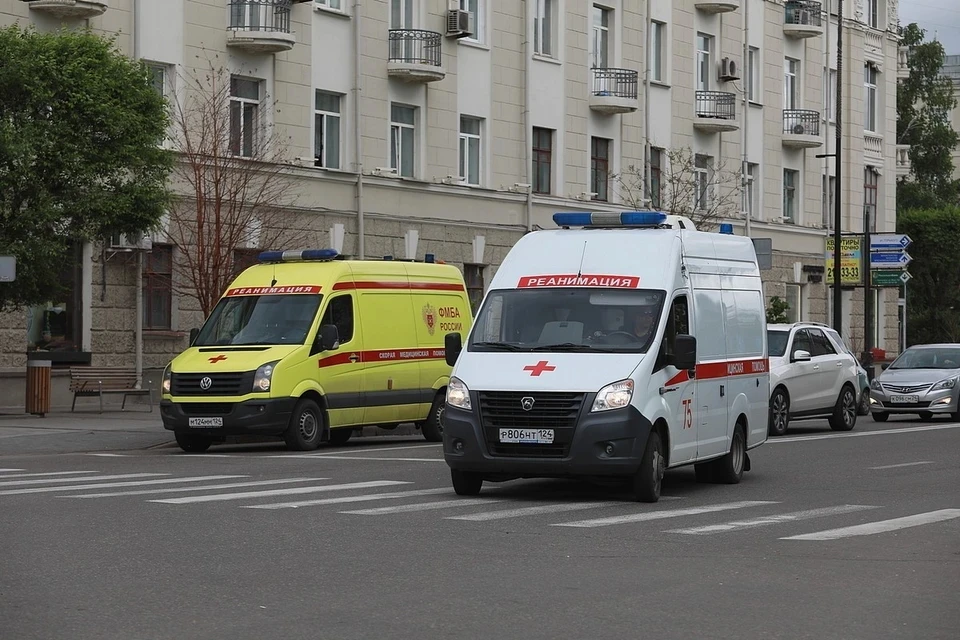 Москвичке повредило кисть взрывом, когда она снимала с дерева найденную гранату