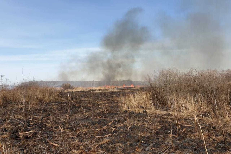 В Иркутской области подготовку АПК региона к пожароопасному периоду