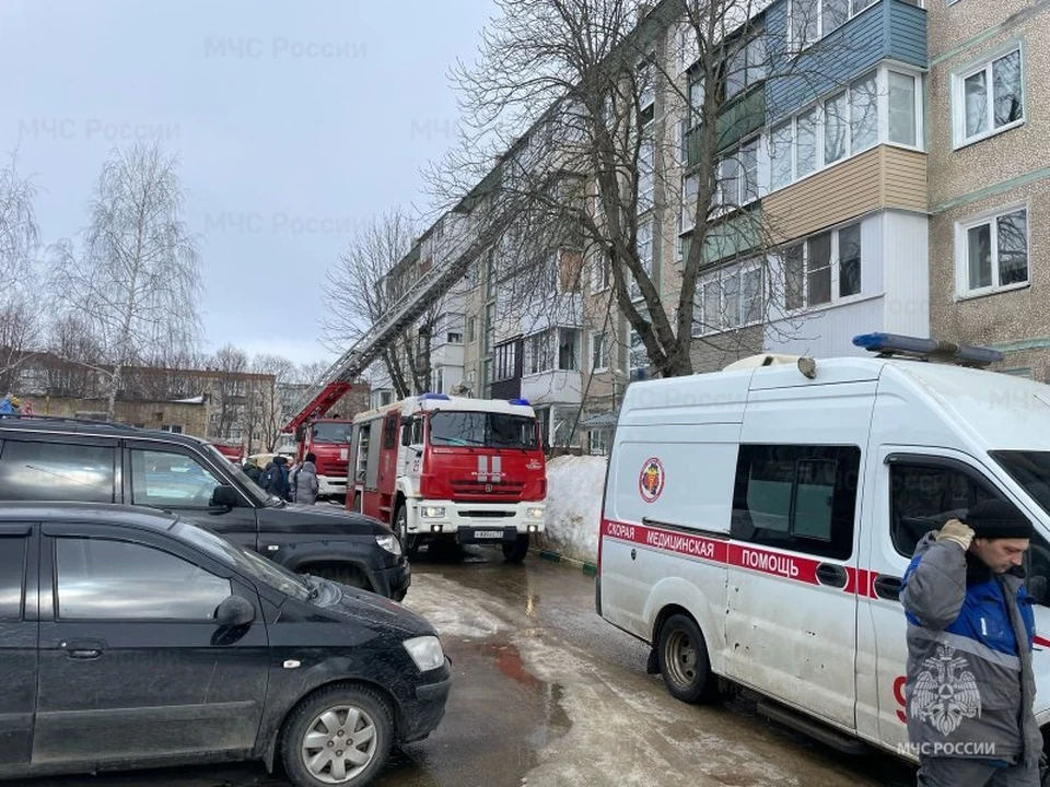 Двух человек спасли огнеборцы на пожаре в Новомосковске Тульской области