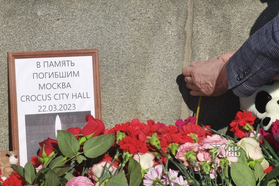 Фарух Мирзоев выразил соболезнования всем пострадавшим в теракте