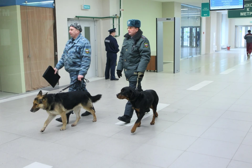 ТЦ «Муравей» эвакуировали в Нижнем Новгороде 24 марта